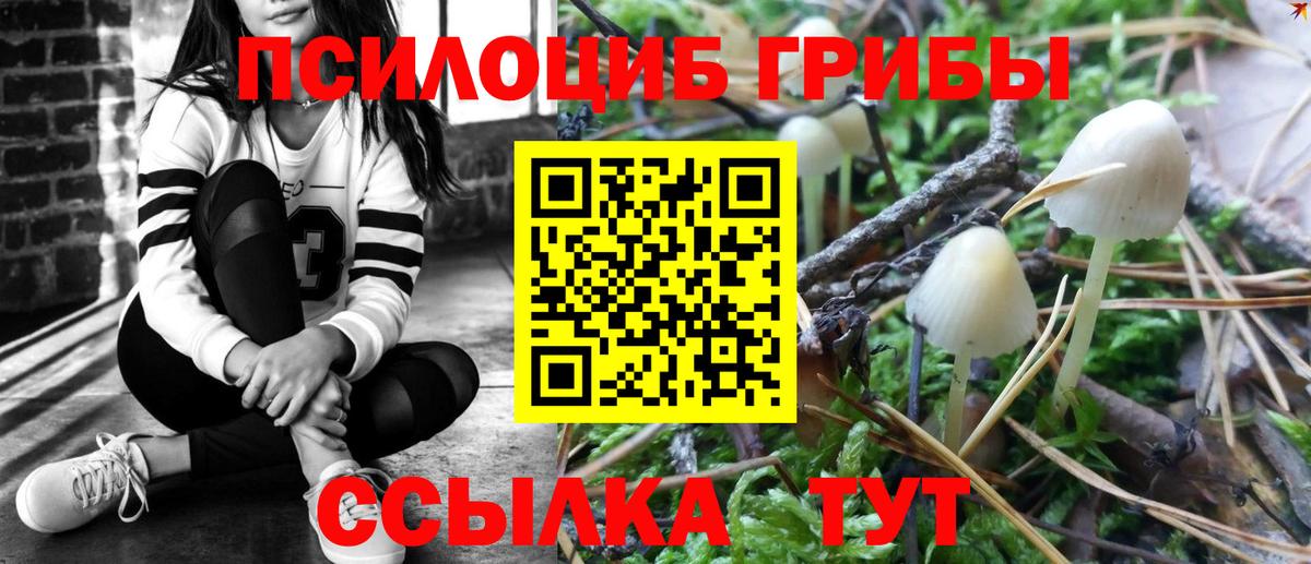 Псилоцибиновые грибы GOLDEN TEACHER  Вход с VPN  Курчатов 